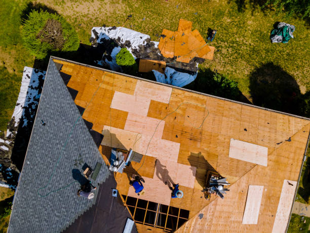 Best Roof Waterproofing Services  in Rockwood, TN