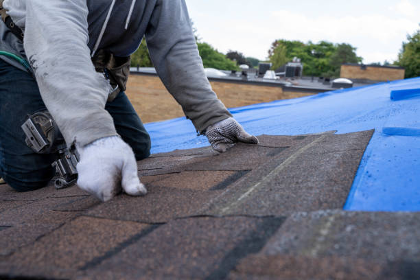 Best Flat Roof Repair Services  in Rockwood, TN