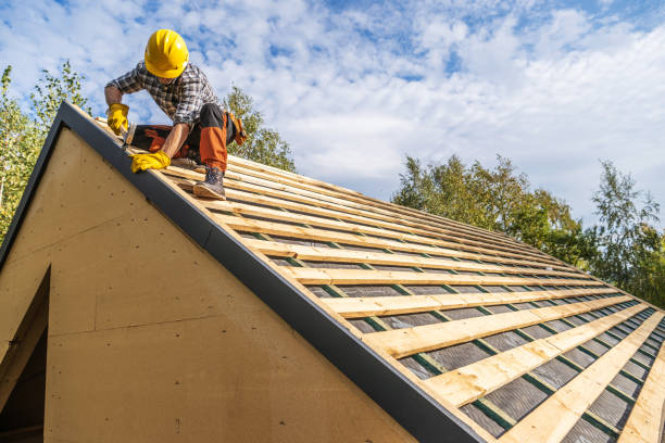 Best Gutter Installation and Roofing  in Rockwood, TN