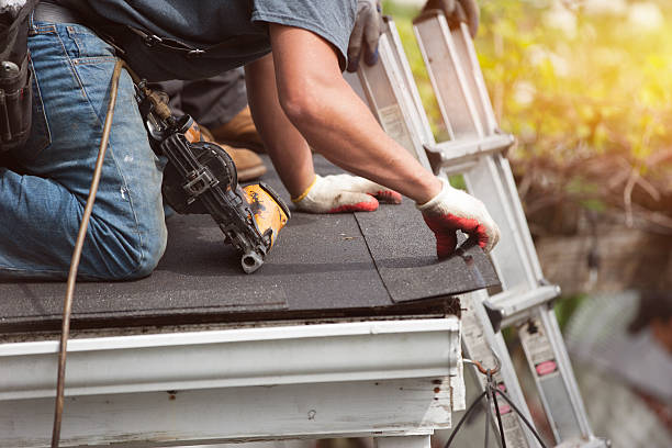 Best Gutter Installation and Roofing  in Rockwood, TN